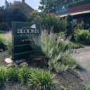 Blooms by Vickrey logo