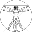 Body Blueprint Fitness Education logo