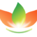Direct Plants Logo