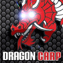 Dragon Carp Direct logo