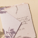 Feathers and Stone Logo