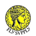 Fly Supply Co logo