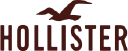 Hollister Co. logo