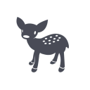 Pudus Lifestyle Co. logo