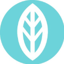 Mint Wellness Logo