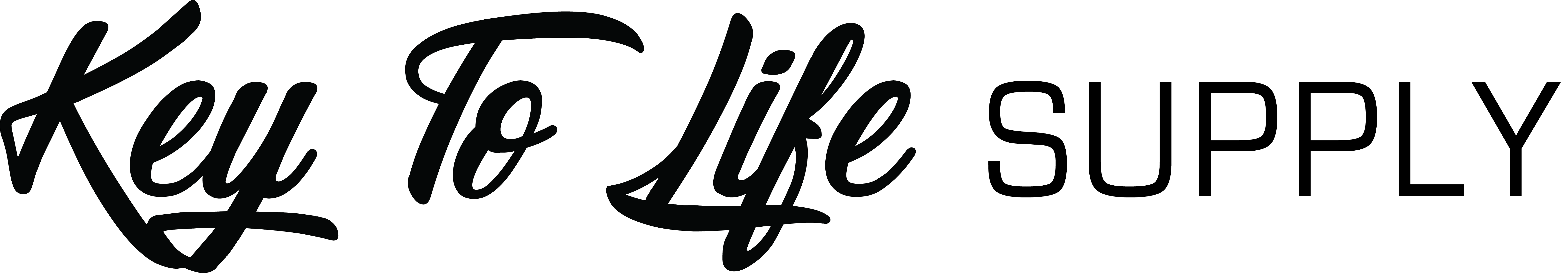 Key To Life logo