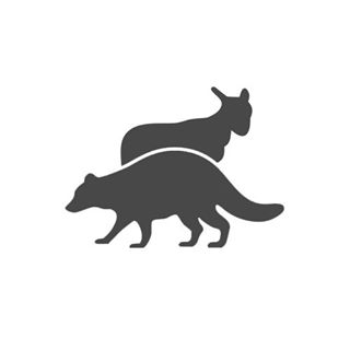 lambandraccoon Logo