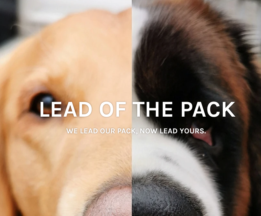 leadofthepack.co.uk logo