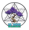 mrbonsai logo