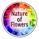 natureofflowers logo