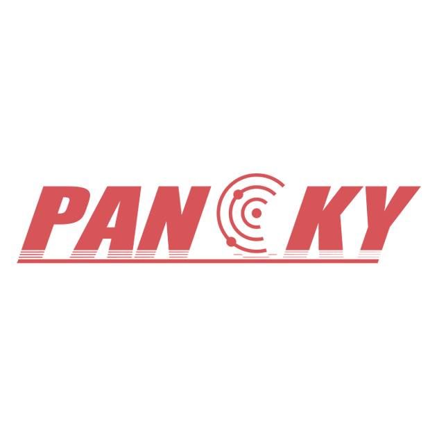 Pancky Metal Detectors logo