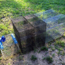 Reel Texas Outdoors Logo