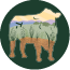Richards Grassfed Beef logo