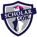 SCHOLAR SOX  Smart & Fashionable! Logo
