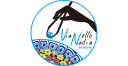 vianellonadiamurrine logo