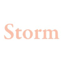 Storm Swimwear logo