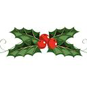 thechristmascart Logo