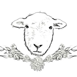 The Wool Barn logo