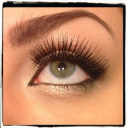 timidlashes.com Logo