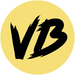 VroomBoiz logo