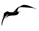 Warbird Fishing Gear Logo