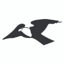 Wild Mountain Taylors Falls Recreation Logo